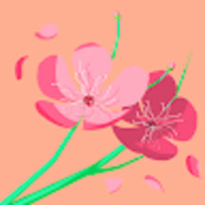 Meet your Posher, Nadia